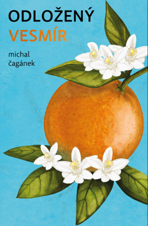 Michal Čagánek - Odložený vesmír