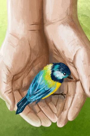 Michal Čagánek - pohlednice