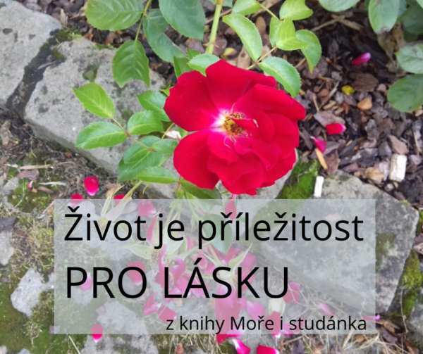 Prilezitost pro lasku