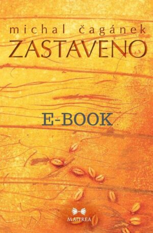 Michal Čagánek - Zastaveno ekniha